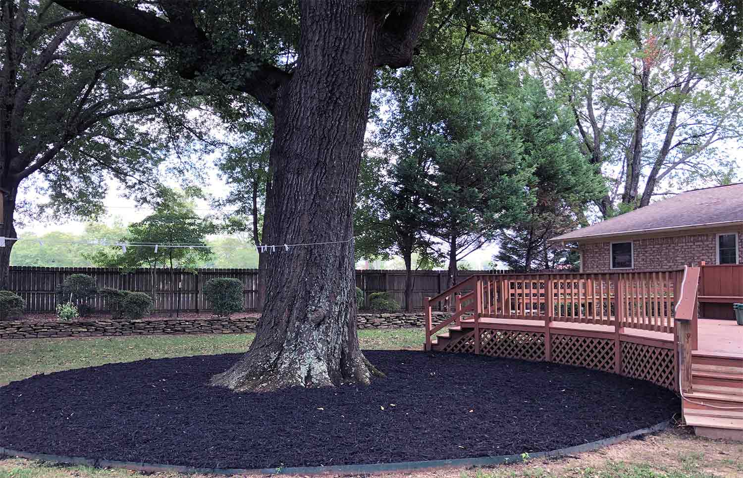 tree and landscaping services