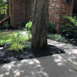 Landscaping service in Searcy Arkansas