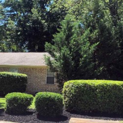 Landscaping services in Searcy Arkansas