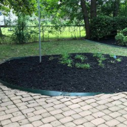 Landscaping services in Searcy Arkansas