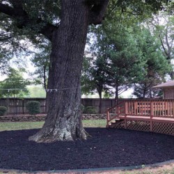 Landscaping services in Searcy Arkansas