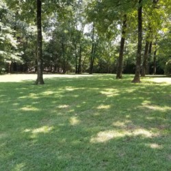 Lawn Service in Searcy Arkansas