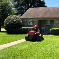 lawn service in Beebe Arkansas
